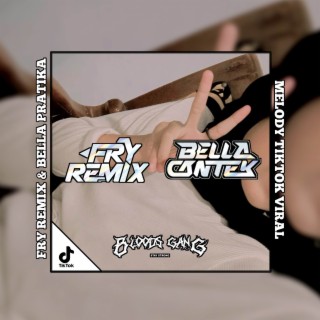 FRY REMIX