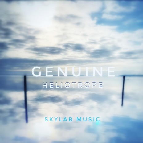 Genuine cover art