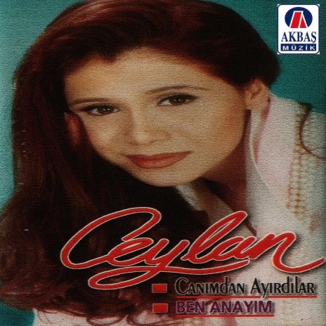 Gel yarim cover art