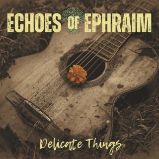 Delicate Things