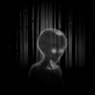 Dark Forest