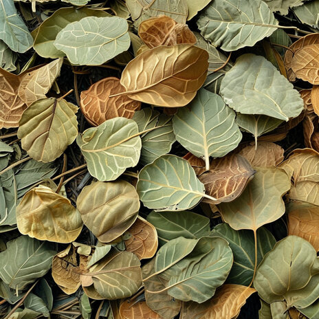 Yıkık Apartman cover art