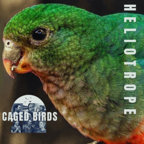 Caged Birds cover art