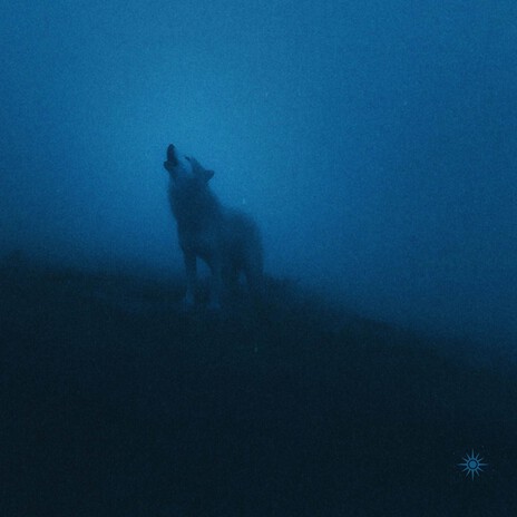 howl of the night cover art