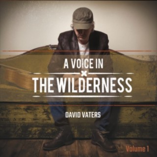 A Voice in the Wilderness, Vol. 1