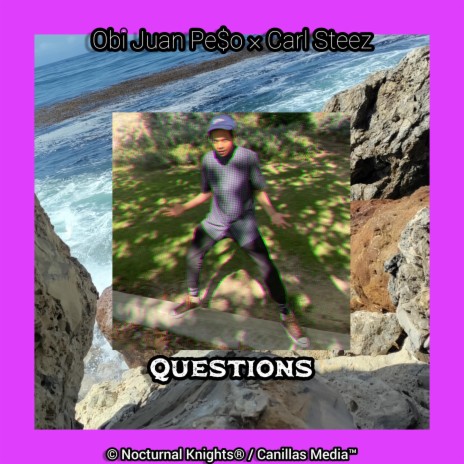 Questions ft. Carl $teez cover art