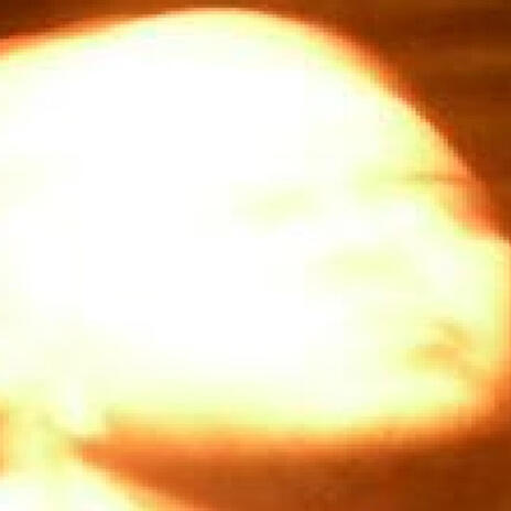 Glorious Tomato
