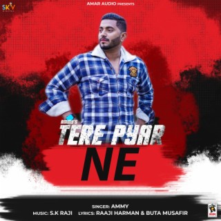 Tere Pyar Ne cover art