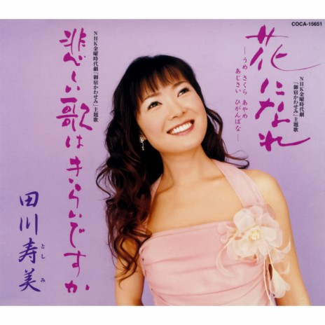 Kanashii Uta Wa Kirai Desuka (Instrumental) cover art
