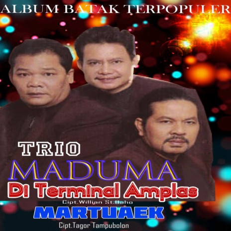Di Terminal Amplas cover art