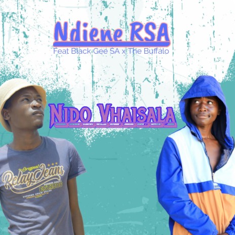 Nido Vhaisala ft. Black Gee SA & The Buffalo cover art