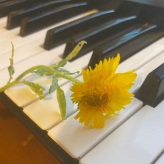 ellipsi.