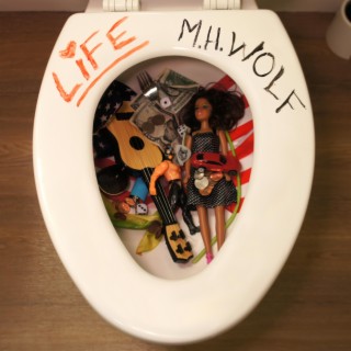 Life cover art