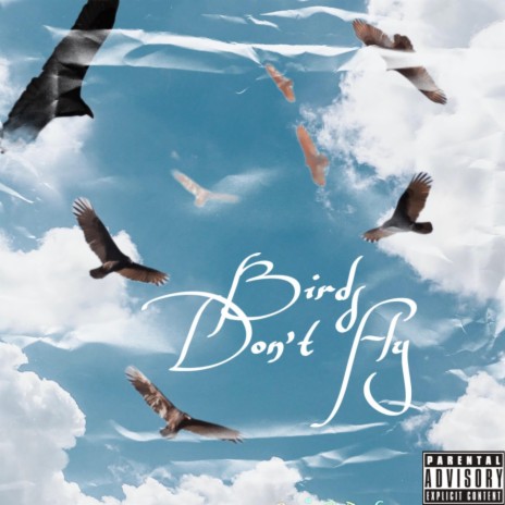Birds Don't Fly cover art