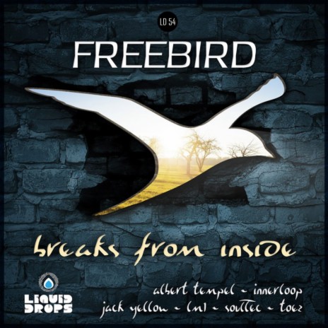 In The Vineyard (Original Mix) ft. FreeBird & P.F.ALI cover art