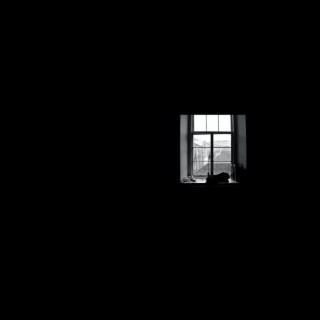 deine altbauwohnung ft. MISHO cover art