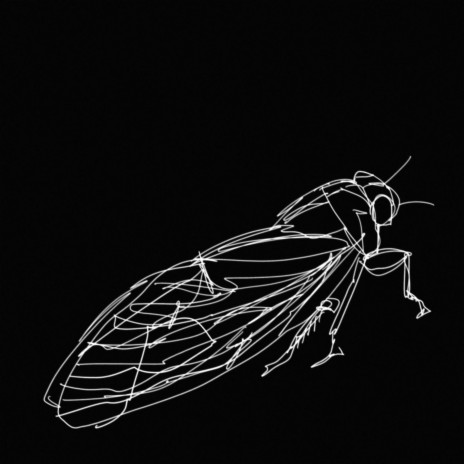 with no end in sight, a cycle of despair and death cover art