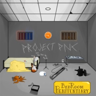 Bedroom Penitentiary