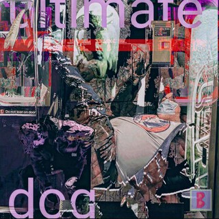 Ultimate Dog