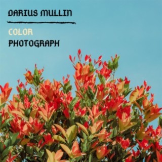 Color Photograph cover art