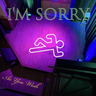 I'm Sorry cover art