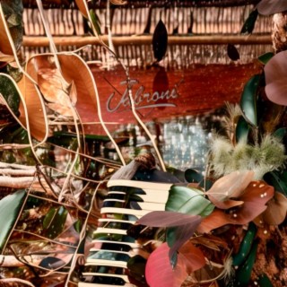 Auxiliary Anomalies cover art