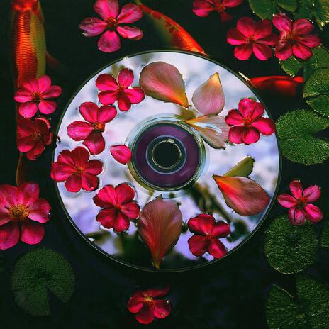 Fireflies cover art