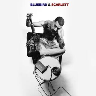 Bluebird & Scarlett