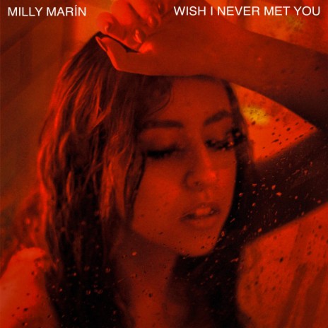 Wish I Never Met You cover art