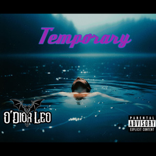 Temporary (EP)