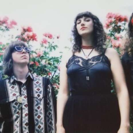 The Shivas