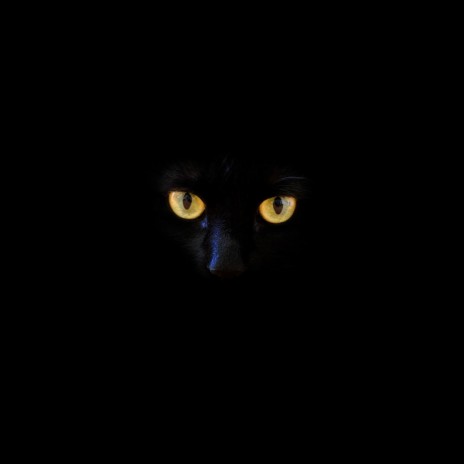 Superstition (feat. Anouska Assisi) cover art