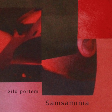 Somnambulist cover art