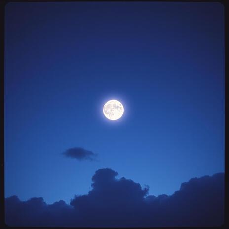 The Moonlit Sky cover art