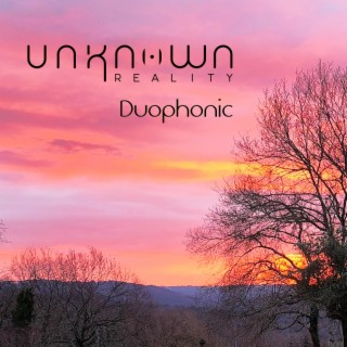 Duophonic cover art