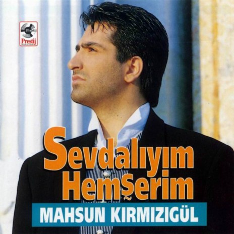 Taşra Delikanlısı cover art