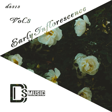Harbinger (Original Mix)