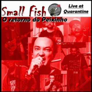 Small Fish