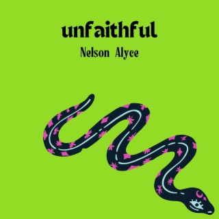 nelson ayce