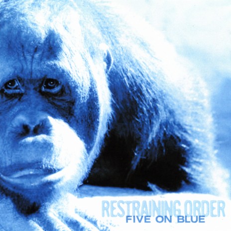 In the Rearview cover art