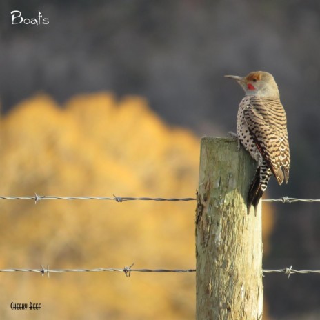 Highland cover art