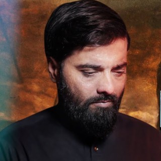 Shabih Abbas Arfi