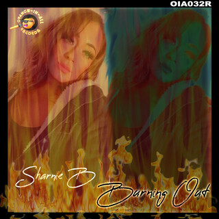 Burning Out (Radical DJ Remix) cover art