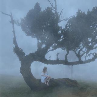 icloud photos cover art