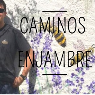 Caminos Enjambre