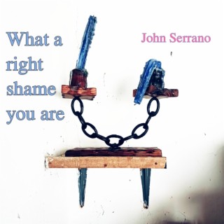 What a right shame you are cover art