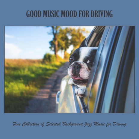 Slow and Fast Jazz Groove cover art
