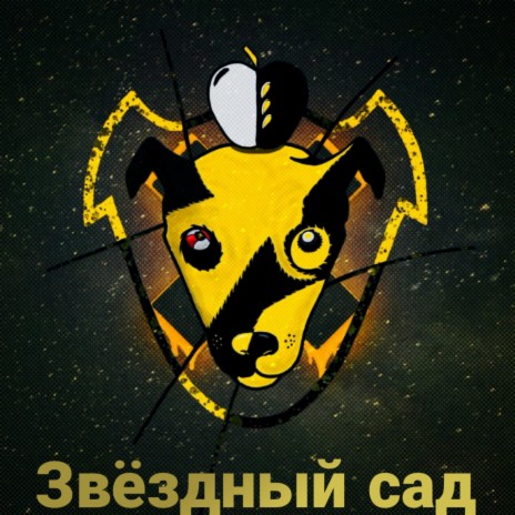 Звёздный сад cover art