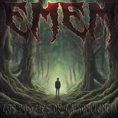 Viniendo Por Tí cover art