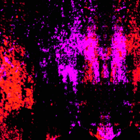 texts (lost words) (slowed down) cover art